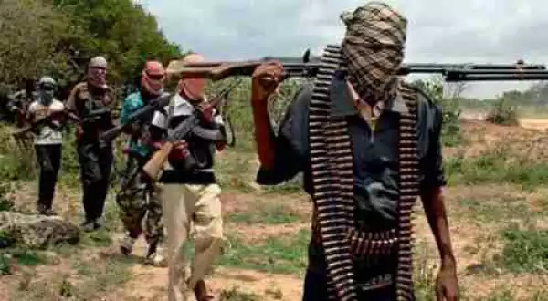Boko Haram Militants Kill Seven In Borno IDP Camp